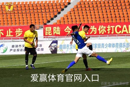 了解爱赢体育官网入口